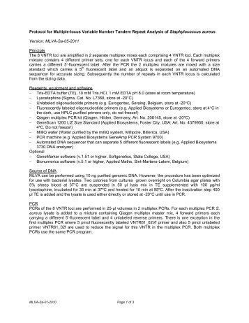 Protocol for Multiple-locus Variable Number Tandem Repeat ... - MLVA