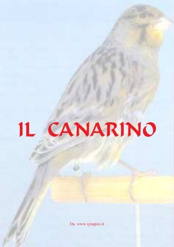 IL CANARINO - Sezione Ornitologica di Fossombrone