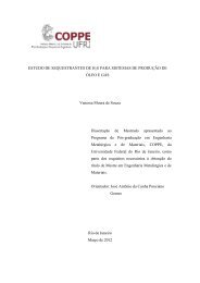 ESTUDO DE SEQUESTRANTES DE H2S PARA SISTEMAS ... - UFRJ