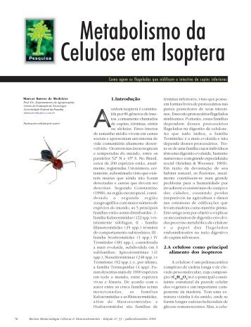 Metabolismo da Celulose em Isoptera - Biotecnologia