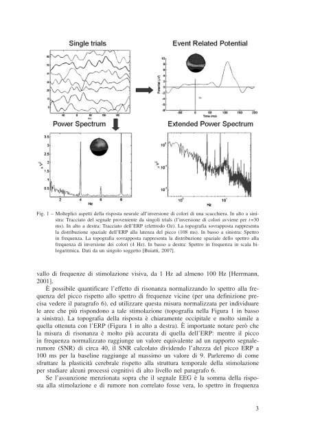 Analisi multidimensionale della dinamica neurale di un processo ...