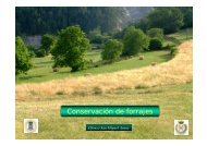 Conservación de forrajes