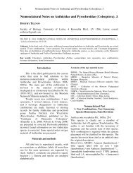 Nomenclatural Notes on Anthicidae and Pyrochroidae (Coleoptera). 3.