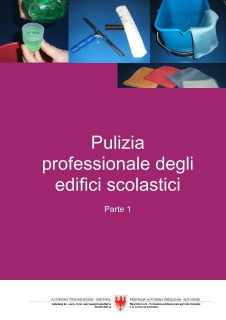 Pulizia professionale degli edifici scolastici - parte I