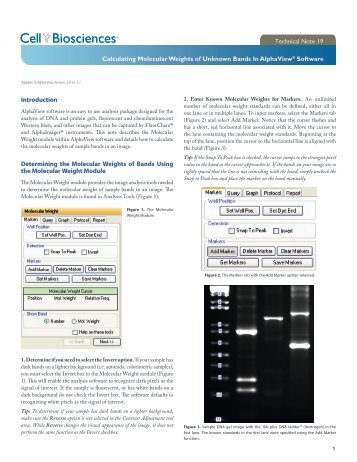 Introduction Determining the Molecular Weights of ... - ProteinSimple