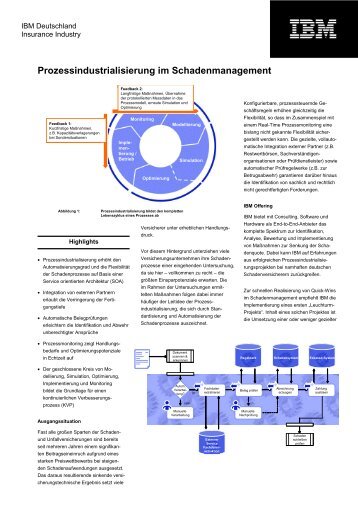 Prozessindustrialisierung im Schadenmanagement - IBM