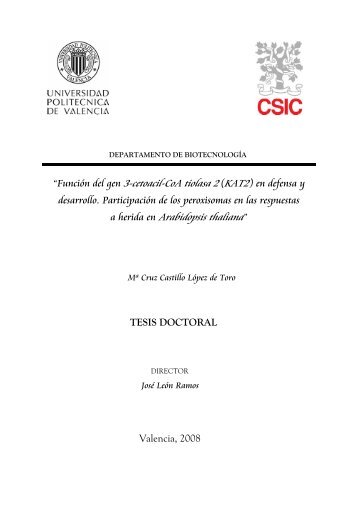 TESIS MARICRUZ CASTILLO.pdf - CSIC - Consejo Superior de ...