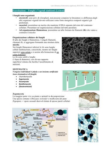 Esercitazione – Funghi e Vegetali simbionti (Licheni)