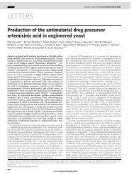 Production of the antimalarial drug precursor artemisinic acid