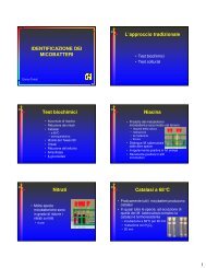 IDENTIFICAZIONE DEI MICOBATTERI L'approccio ... - Myco09