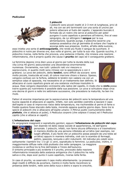 piccoli insetti marroni nei capelli piccoli insetti marroni nei capelli