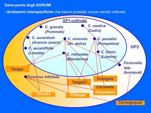 biodiversità agrumi.pdf - Anisn