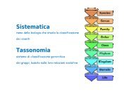 Sistematica Tassonomia - Istituto Pontano