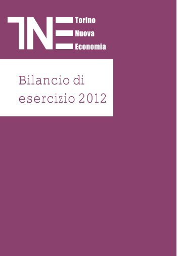 Bilancio 2012.pdf - Torino Nuova Economia