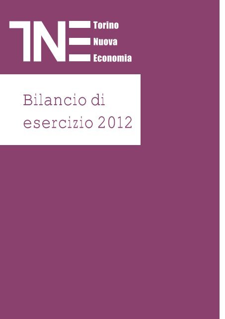 Bilancio 2012.pdf - Torino Nuova Economia