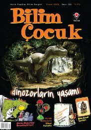 Bilim Cocuk Nisan 2007 By Okay Oky Issuu