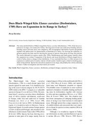 Does Black-Winged Kite Elanus caeruleus - Acta zoologica bulgarica