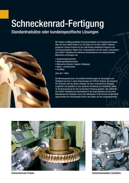 Schneckengetriebe Schneckenradsätze - CAVEX GmbH & Co. KG