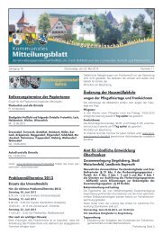 Mitteilungsblatt Nr. 11 - Hollfeld
