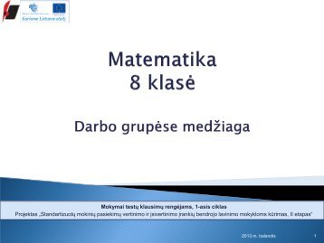 Matematika. 8 klasė. Įvairių pasiekimų lygių užduočių pavyzdžiai