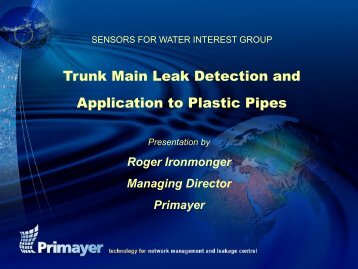 Trunk Main Leak Detection and Application to Plastic Pipes - SWIG