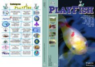 PlayFish Numero 15 Versione pdf per la stampa - GAF