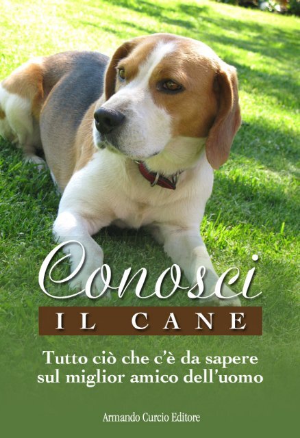 terza palpebra di gatto abbassata e dimagrita