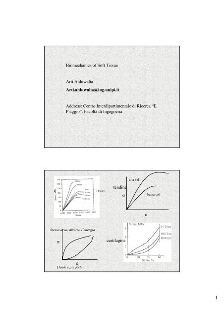 Biomechanics of Soft Tissue Arti Ahluwalia Arti.ahluwalia@ing.unipi ...