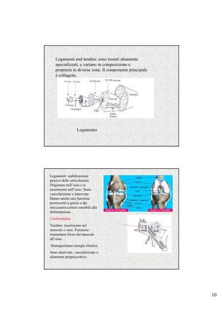 Biomechanics of Soft Tissue Arti Ahluwalia Arti.ahluwalia@ing.unipi ...