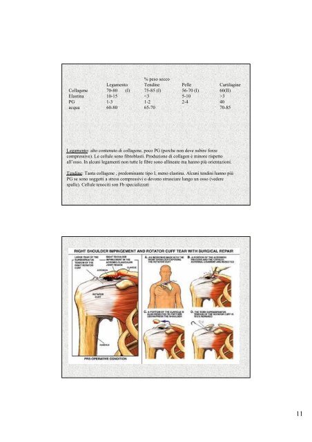 Biomechanics of Soft Tissue Arti Ahluwalia Arti.ahluwalia@ing.unipi ...