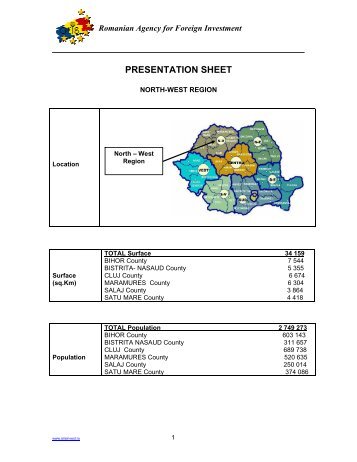 Romanian Agency for Foreign Investment