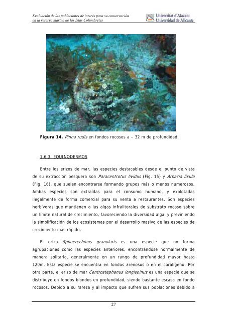 Evaluación de las especies marinas de interés ecológico del LIC de ...