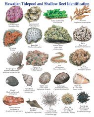 Hawaiian Tidepool and Shallow Reef Identification - Hawaii.gov