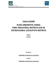 PLAN URBANISTIC ZONAL PARC INDUSTRIAL ... - Primaria Bistrita