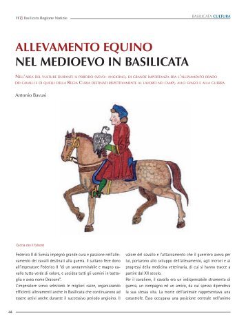ALLEVAMENTO EQUINO NEL mEdIOEvO IN BASILICATA