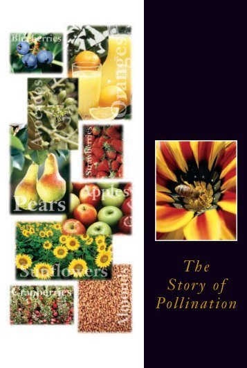 The Story of Pollination (PDF) - National Honey Board