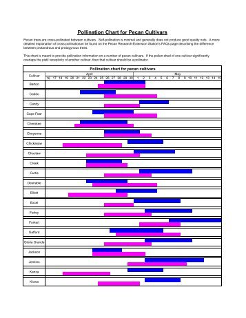 Pollination chart for pecan cultivars - The LSU AgCenter