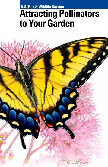 Attracting Pollinators to Your Garden - U.S. Fish and Wildlife Service