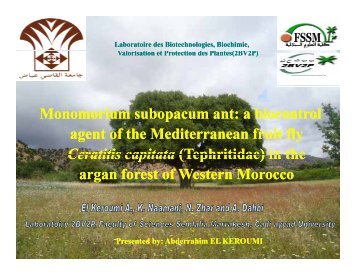 Monomorium subopacum ant: a biocontrol p agent of the agent of ...