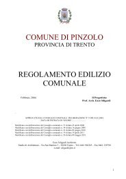 COMUNE DI PINZOLO REGOLAMENTO EDILIZIO COMUNALE