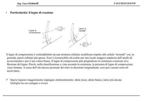 CALCOLO LEGNO Ing. Luca Gottardi - Ordine degli Ingegneri della ...