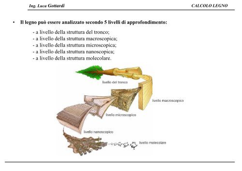 CALCOLO LEGNO Ing. Luca Gottardi - Ordine degli Ingegneri della ...