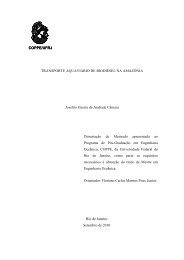 Dissertação Mestrado - Joselito Guerra de Andrade Câmara - UFRJ