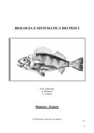 BIOLOGIA E SISTEMATICA DEI PESCI - Biologiamarinaroma.Org