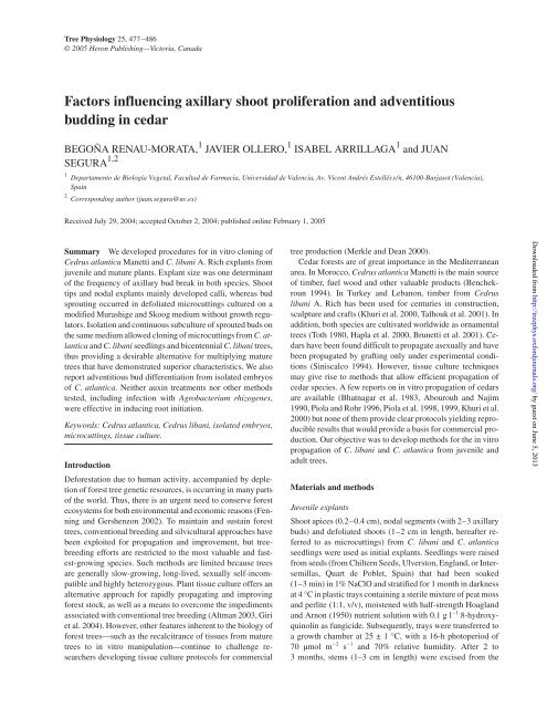 Factors influencing axillary shoot proliferation and ... - Tree Physiology