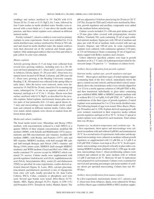 Factors influencing axillary shoot proliferation and ... - Tree Physiology