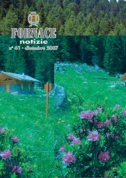 Comune di Fornace