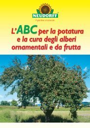 Piantare alberi da frutta - Neudorff