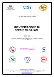 IDENTIFICAZIONE DI SPECIE BACILLUS - italbioforma
