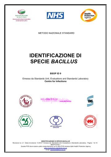IDENTIFICAZIONE DI SPECIE BACILLUS - italbioforma